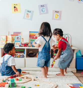 Toys & Accessories