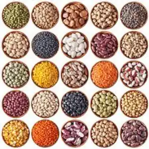 Pulses